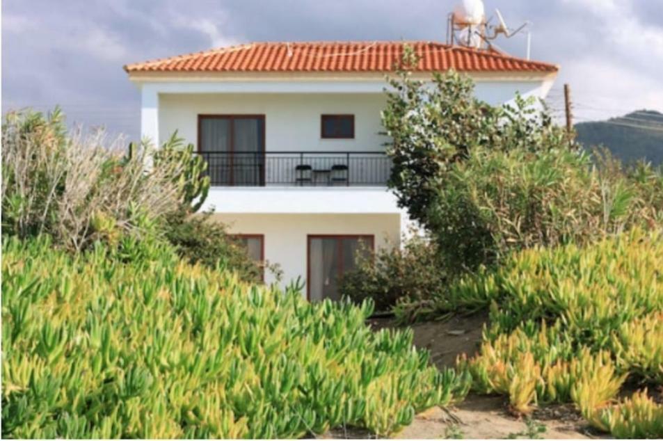 Olgas Villa Agia Marina  Exterior photo